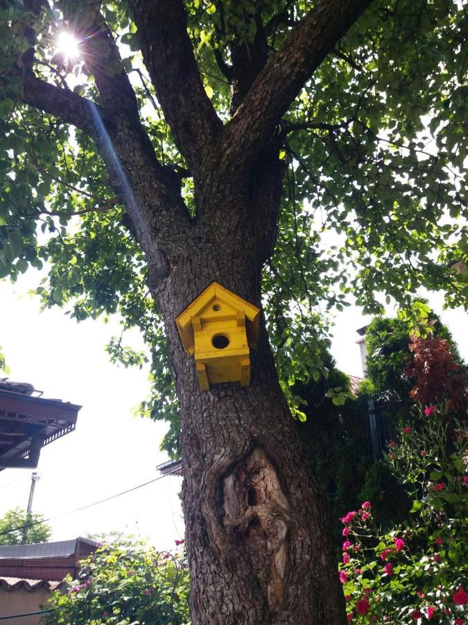 Hedgehog'S Home - Jezeva Kucica Free Parking SJJ Exterior photo