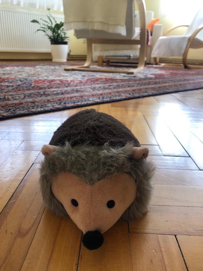 Hedgehog'S Home - Jezeva Kucica Free Parking SJJ Exterior photo